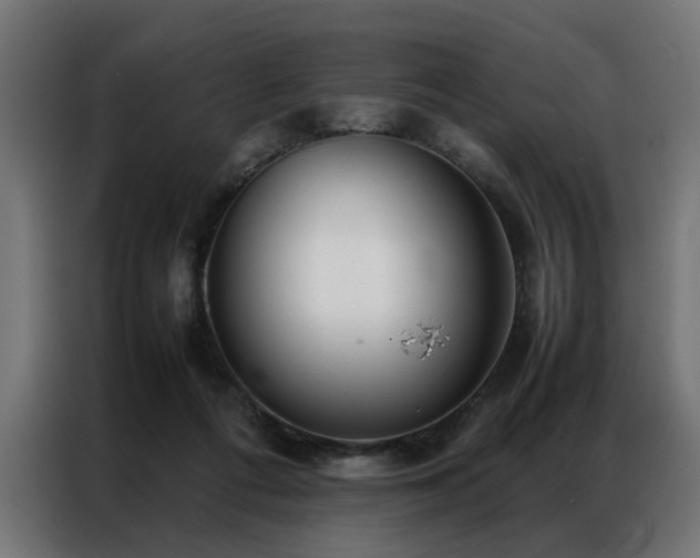 X0000086990312200704161510