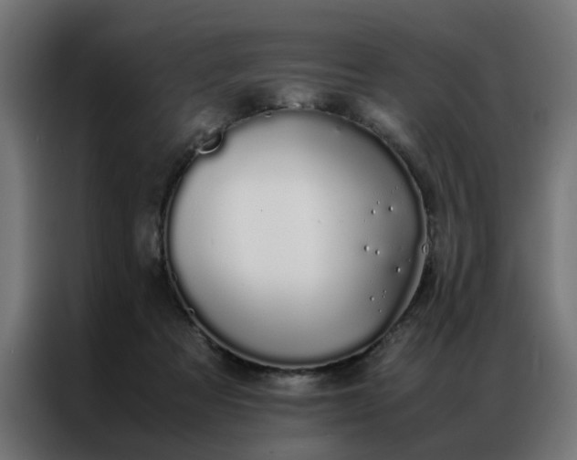X0000086990313200704161510