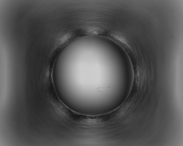 X0000086990314200704161510