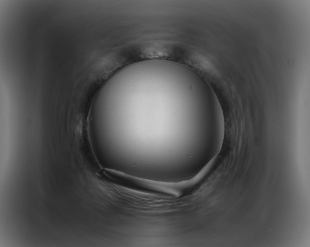 X0000086990315200704161510