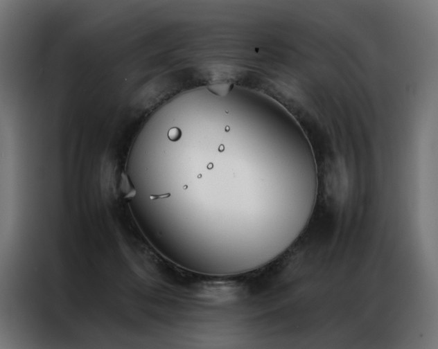 X0000086990316200704161510