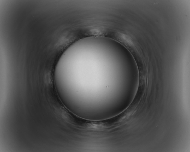 X0000086990317200704161510