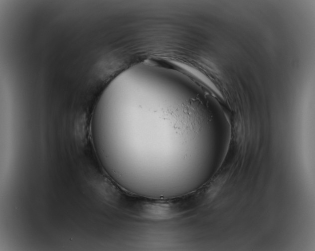 X0000086990318200704161510