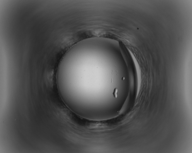 X0000086990319200704161510