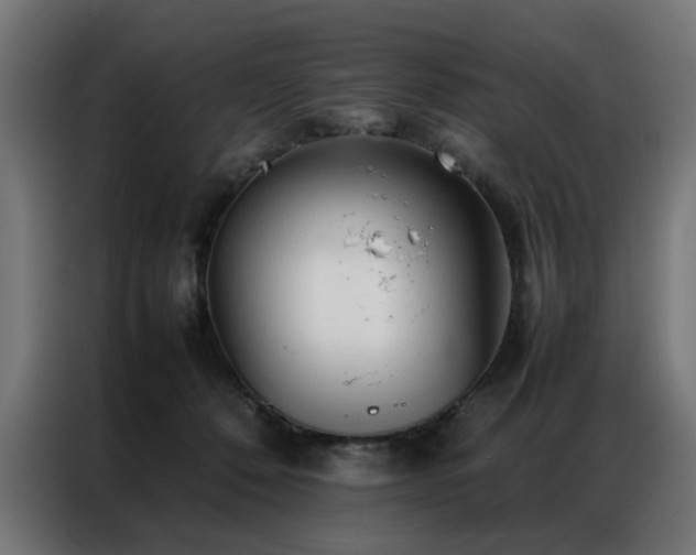 X0000086990320200704161510