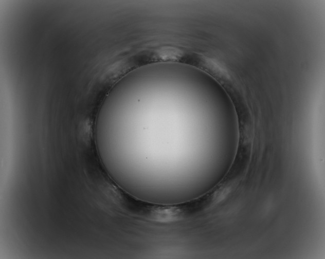 X0000086990321200704161510