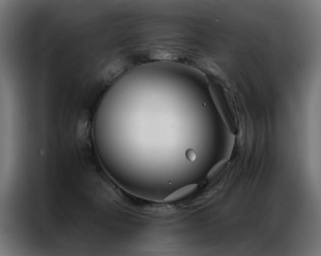 X0000086990322200704161510