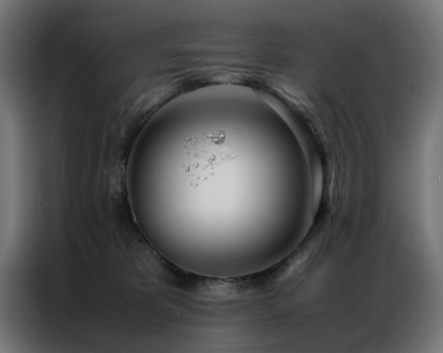 X0000086990325200704161510