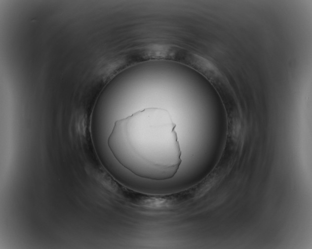 X0000086990326200704161510