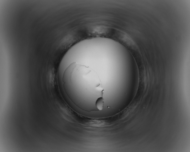 X0000086990328200704161510