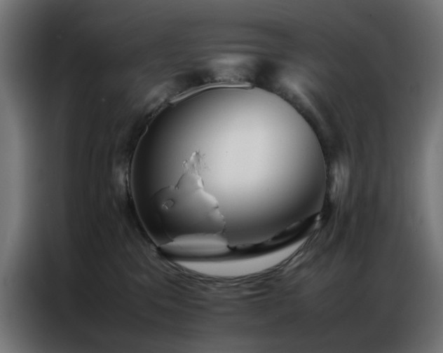 X0000086990329200704161510