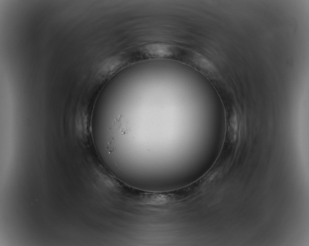 X0000086990330200704161510