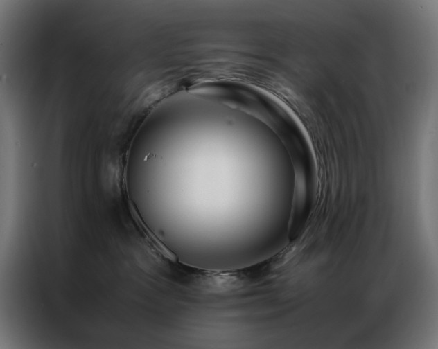 X0000086990333200704161510