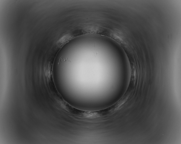 X0000086990334200704161510