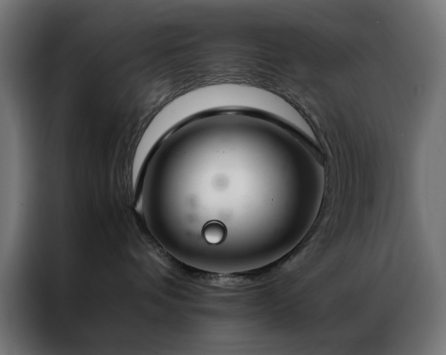 X0000086990336200704161510