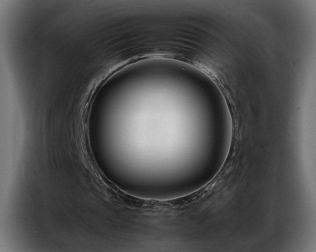X0000086990337200704161510
