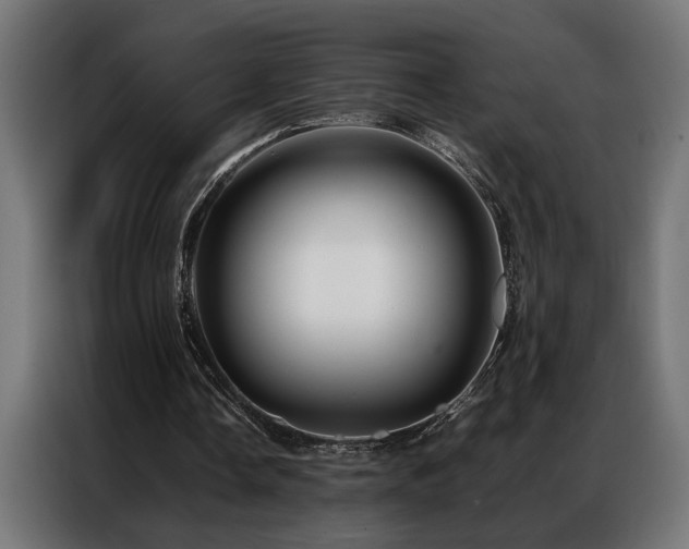 X0000086990338200704161510