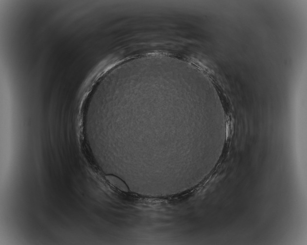 X0000086990339200704161510