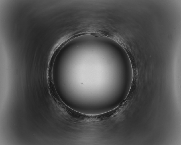 X0000086990340200704161510