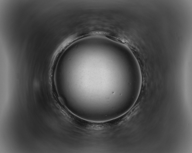 X0000086990341200704161510