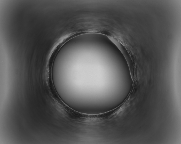 X0000086990342200704161510