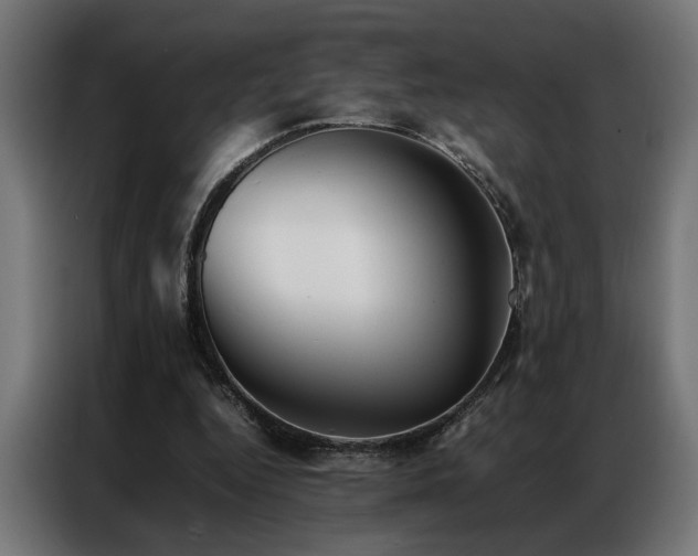X0000086990344200704161510