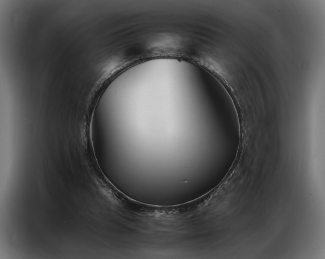 X0000086990345200704161510