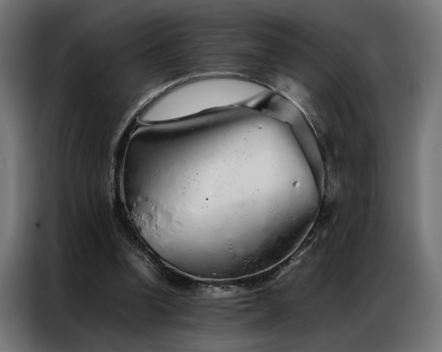 X0000086990346200704161510