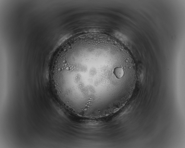 X0000086990347200704161510