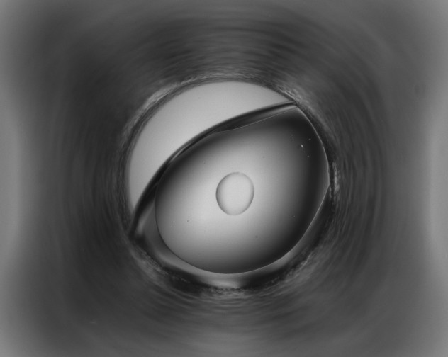 X0000086990348200704161510