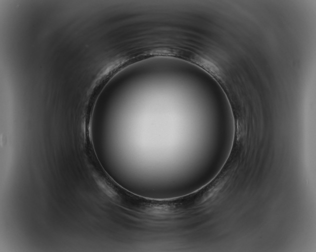 X0000086990349200704161510