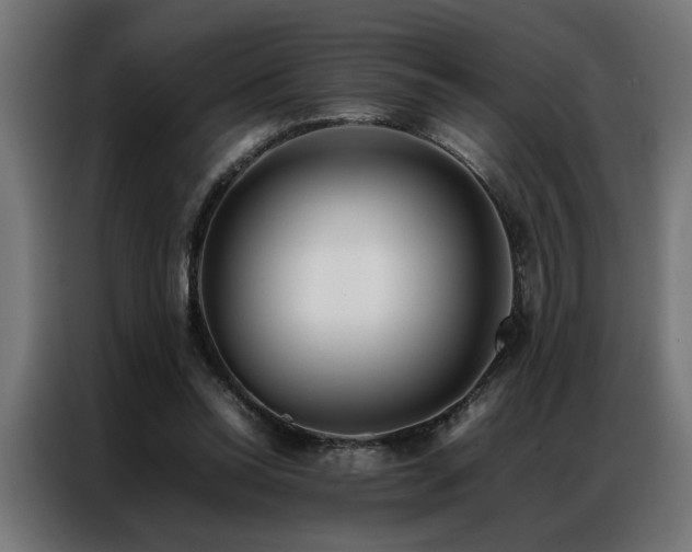 X0000086990350200704161510