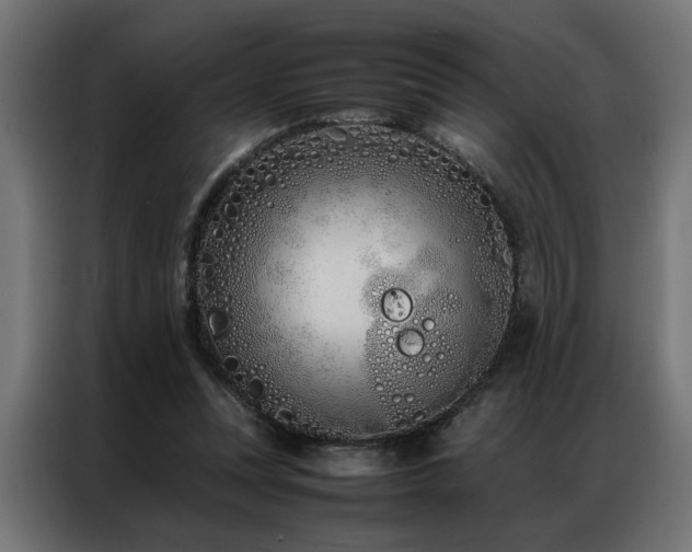 X0000086990351200704161510