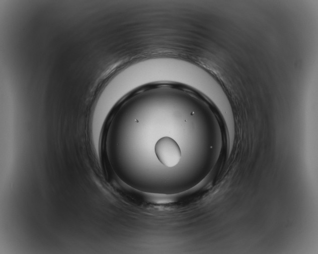 X0000086990352200704161510