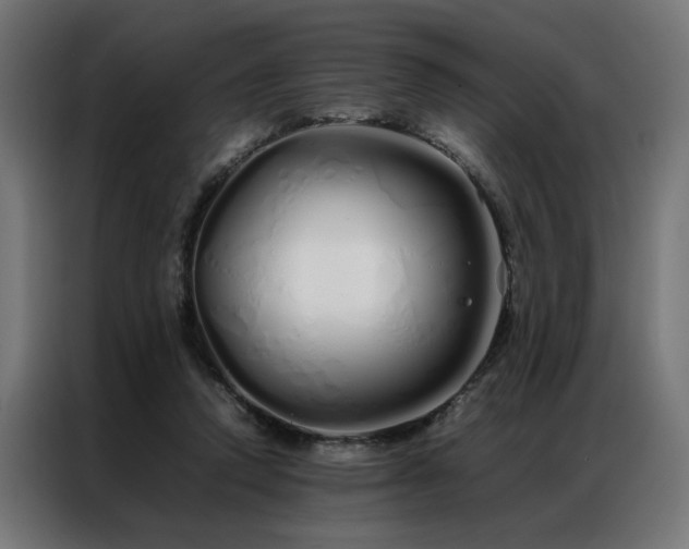 X0000086990354200704161510
