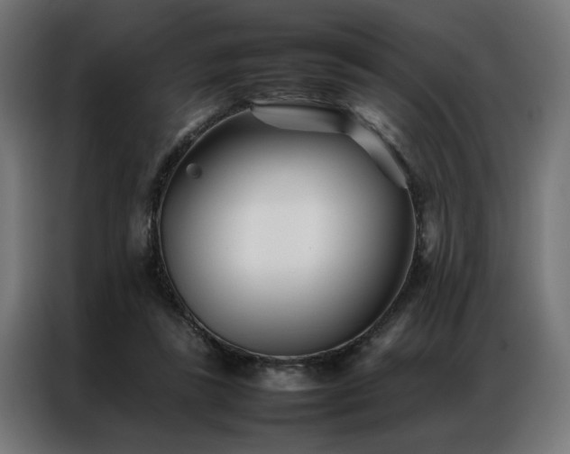 X0000086990355200704161510