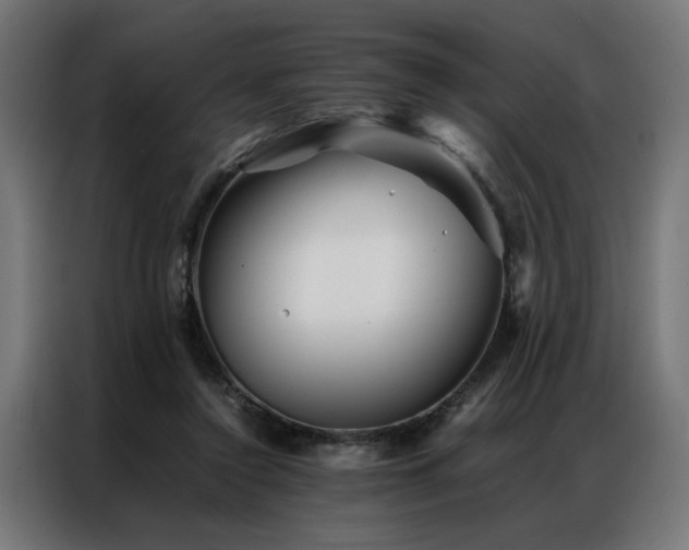X0000086990356200704161510