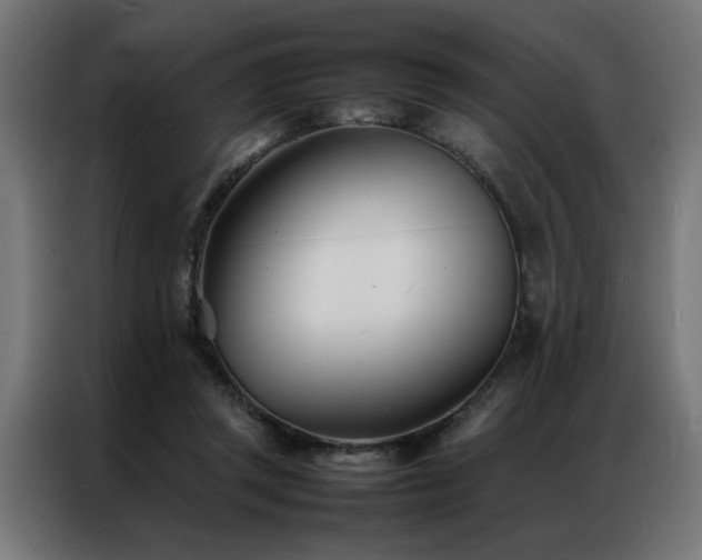 X0000086990357200704161510