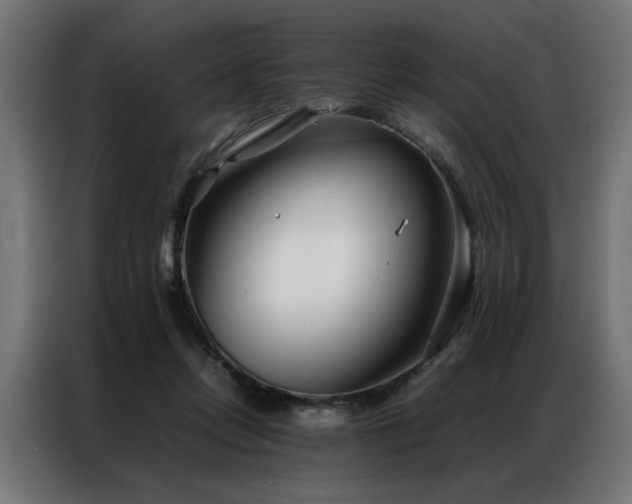 X0000086990358200704161510