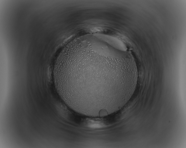 X0000086990359200704161510