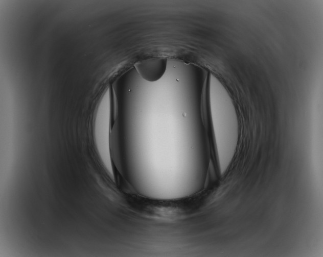 X0000086990360200704161510