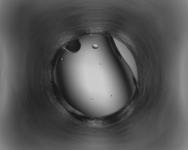 X0000086990362200704161510
