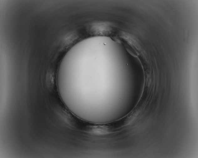 X0000086990363200704161510