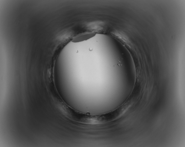 X0000086990365200704161510