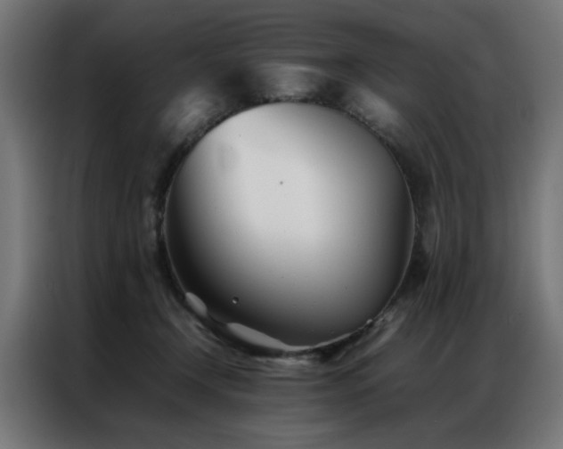 X0000086990366200704161510