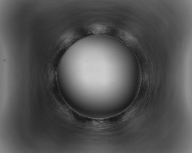 X0000086990367200704161510