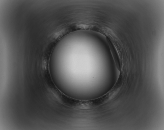 X0000086990368200704161510