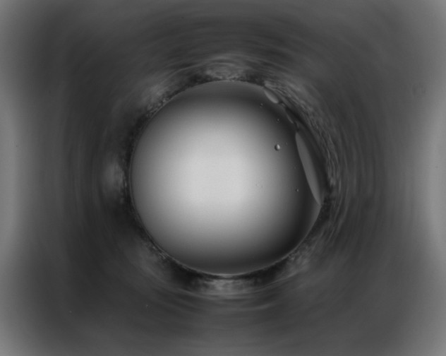 X0000086990371200704161510