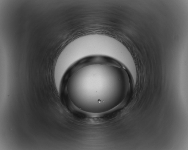X0000086990372200704161510