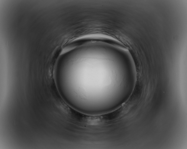 X0000086990373200704161510